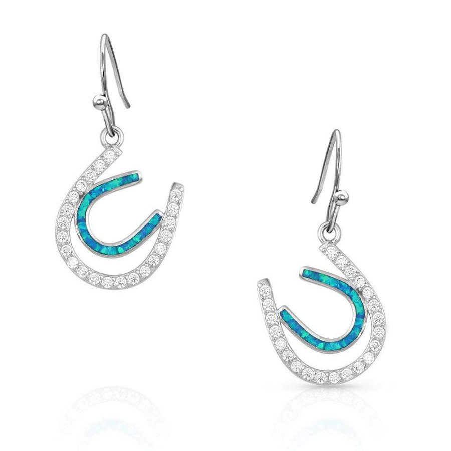 Shoes * | Montana Silversmiths Ladies Tipping Luck Horseshoe Earrings Er4921 Store